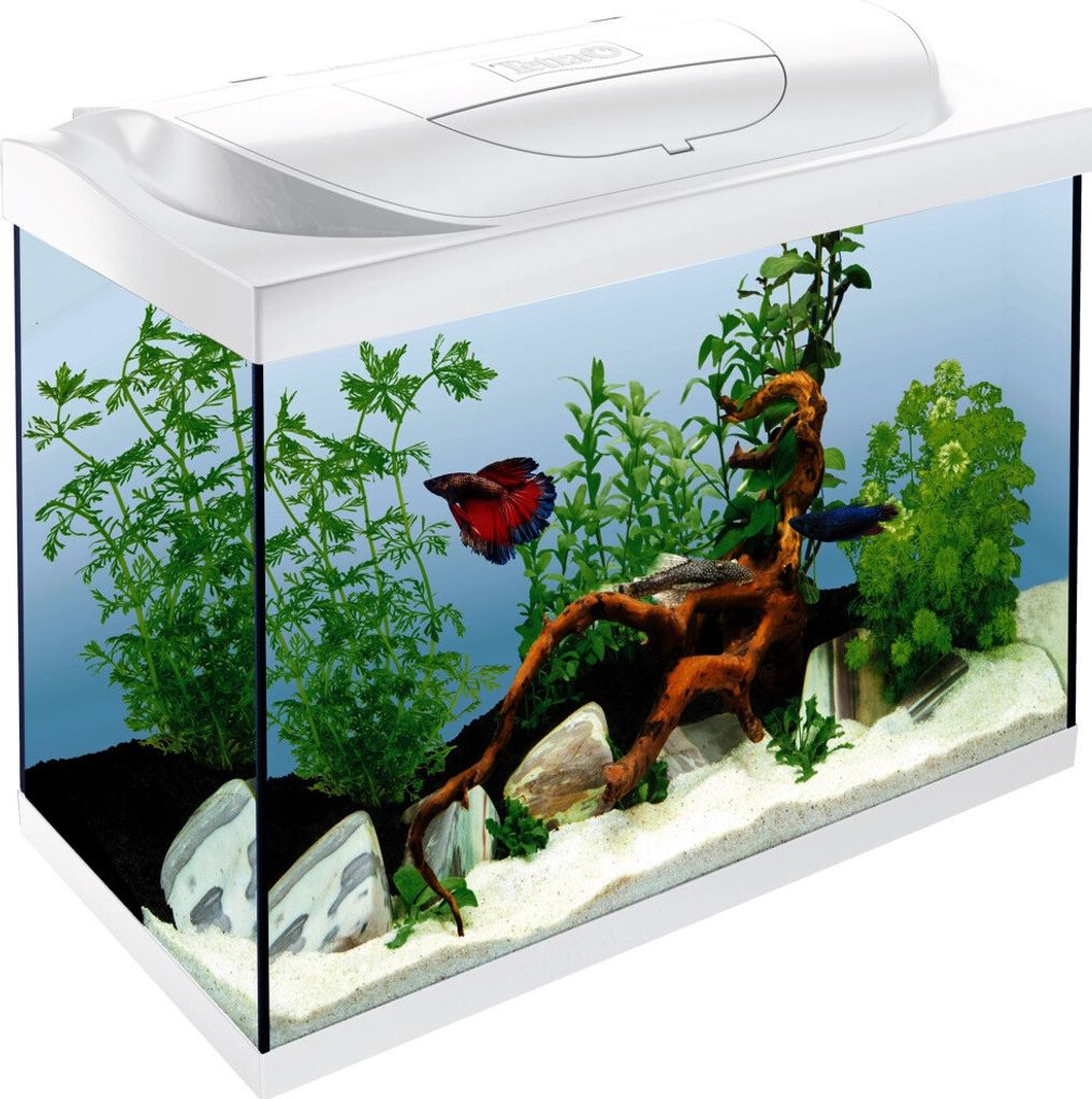 Tetra Aquarium Starter Line LED 80 L weiß Produktbild 