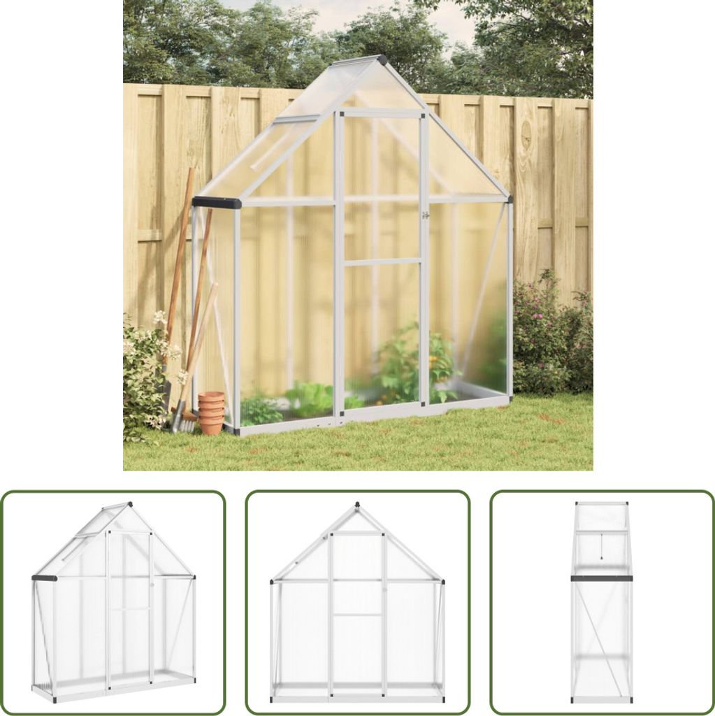 The Living Store Gewächshaus mit Fundamentrahmen Silbern 169x58x195cm Aluminimum