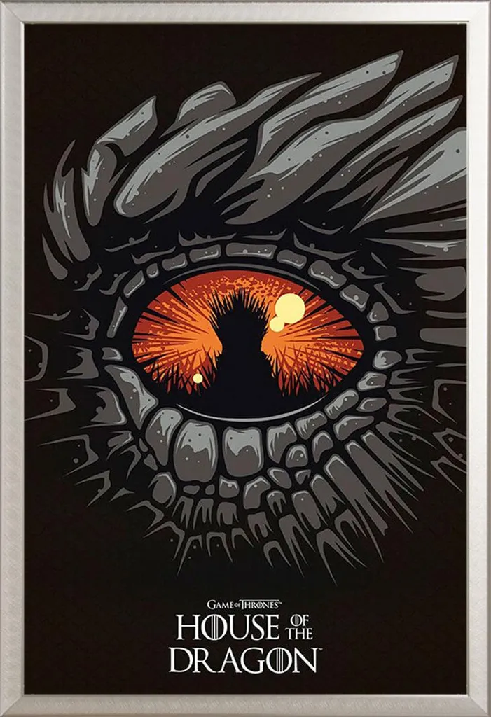 Poster House of the Dragon Eye avec Cadre Shinsuke Maxi Alu Argent
