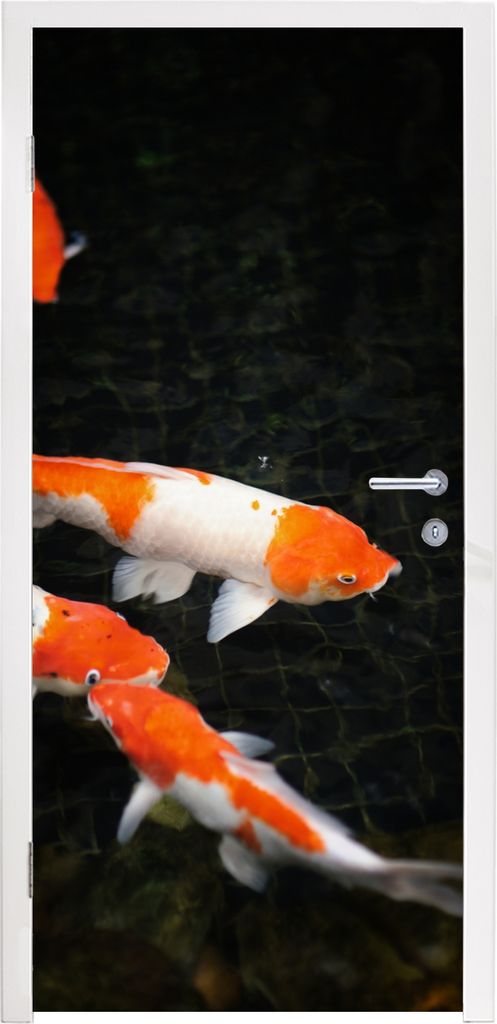 MuchoWow Türtapete Selbstklebende Türfolie Koi-Karpfen in einem flachen schwarzen Teich 80x215 cm Türposter Türaufkleber Klebefolie Türklebe...