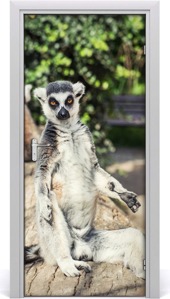 Tulup Türaufkleber 95x205 cm Dekorative Aufkleber Selbstklebend Wasserdichte Tapete Abnehmbar Schlafzimmer Wohnzimmer Wohnkultur - Wand lemur