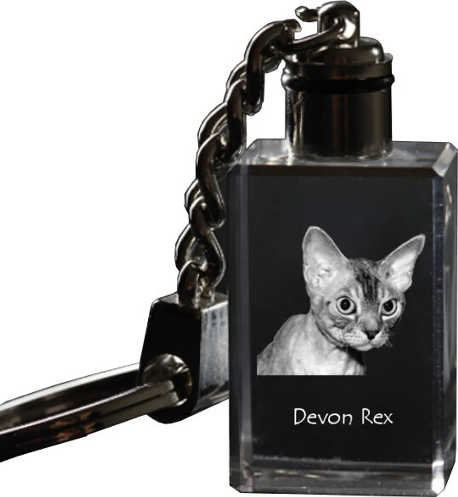 Horloge murale avec chat Devon Rex et étagère imprimée décorative maison