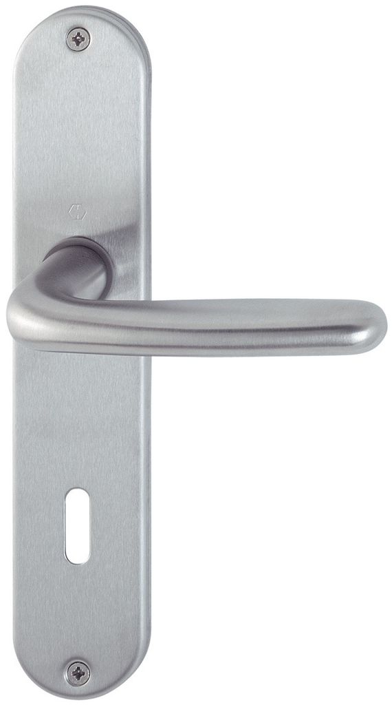 A close-up studio shot of a door handle with a backplate.