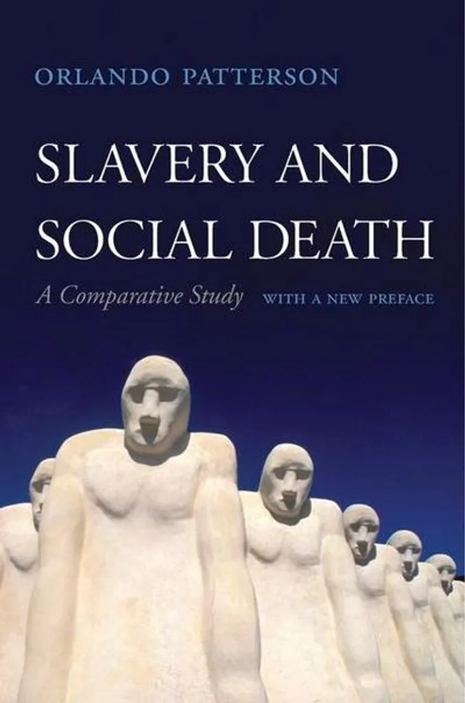 Comprendre l'Esclavage avec Slavery and Social Death de Patterson