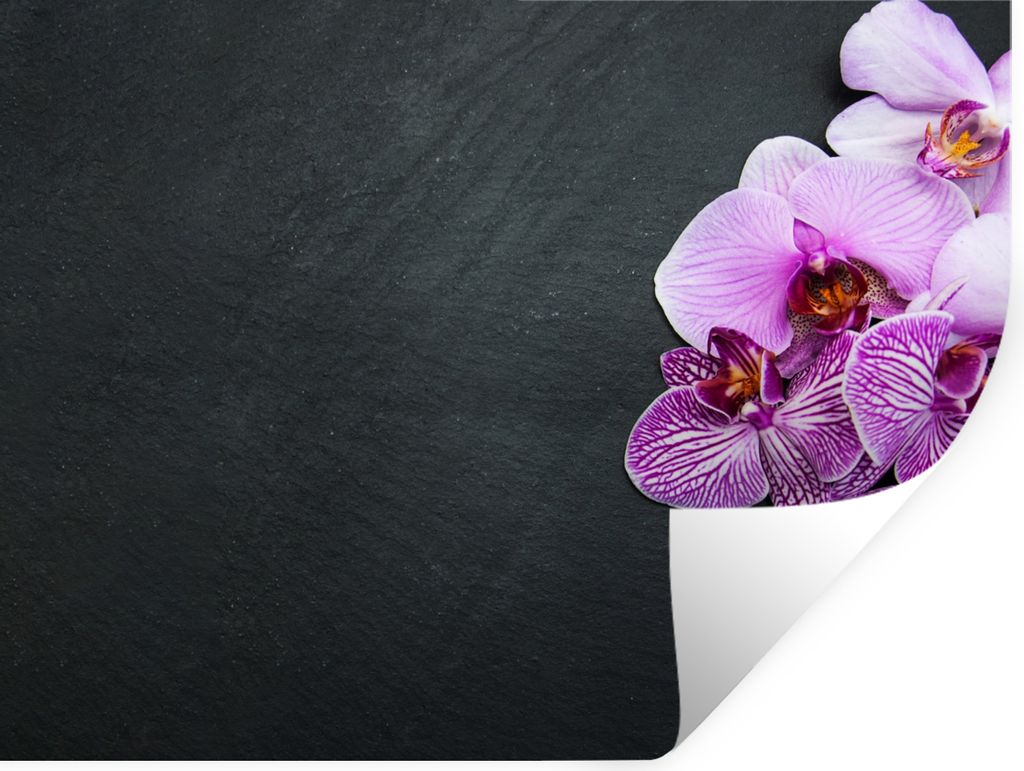 MuchoWow Wandtattoo Wandsticker Wandaufkleber Orchidee - Blumen - Rosa - Flora 40x30 cm Selbstklebend und Repositionierbar - Faltenfrei