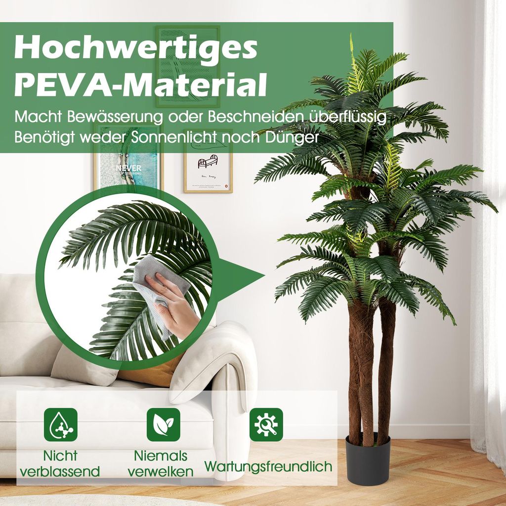 monstera fenestration Monstera Deliciosa Marble Variegated Fenestrated Medium Size