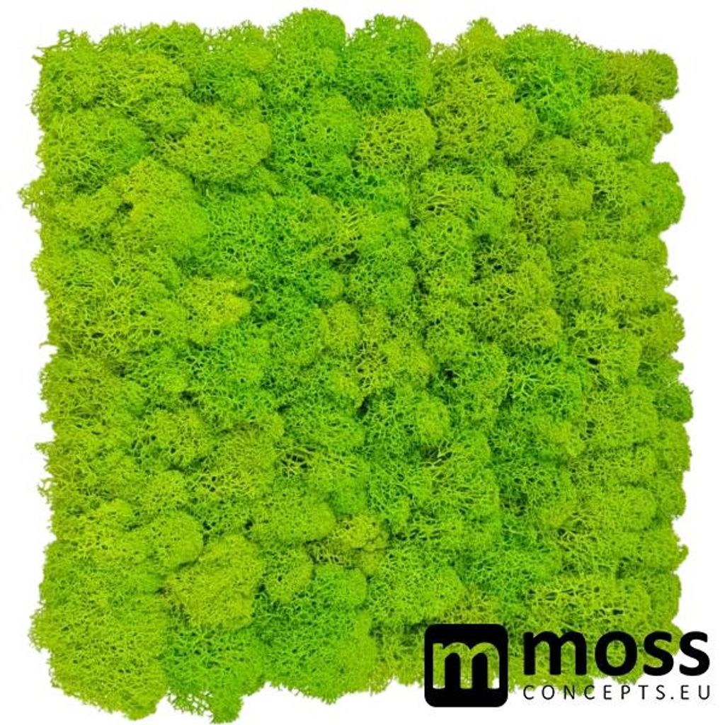 MOSS concepts Moswand paneel rendiermos springgroen Productafbeelding 