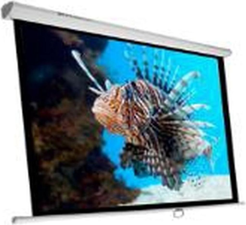 Phoenix Technologies PHPANTALLA-200, 1:1, 200 x 200 cm, Produktbild 