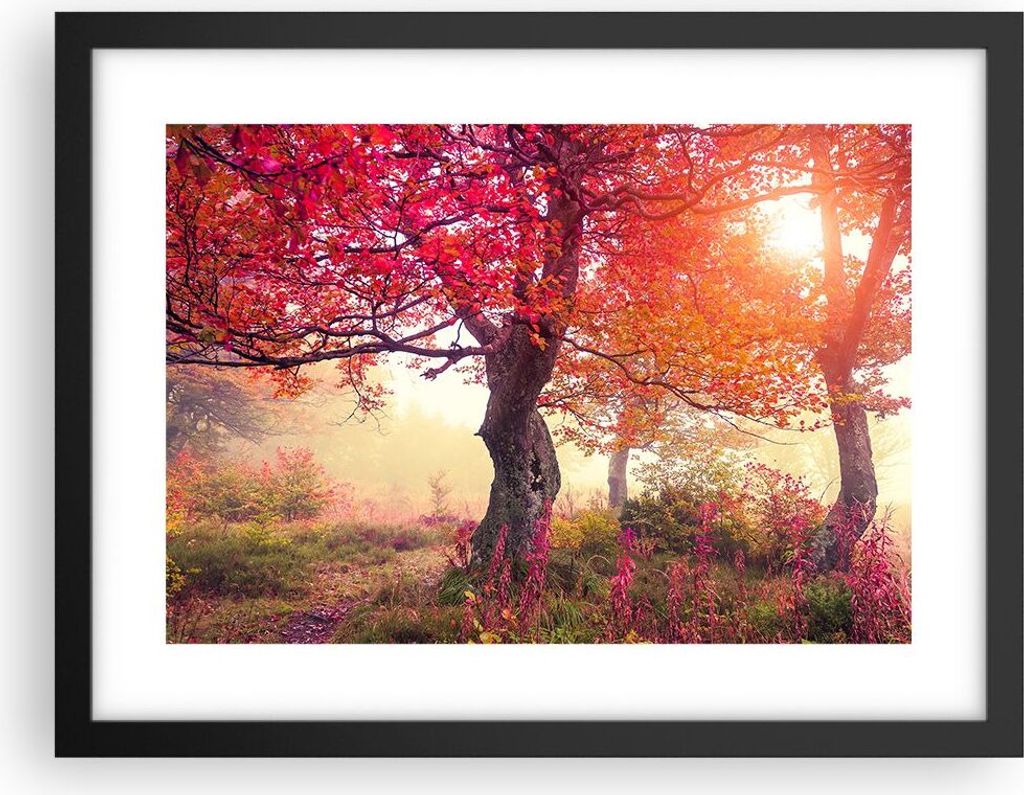 Gerahmtes Poster - Schwarzer Rahmen - Baum Natur Wiese - 40x30 cm - Wand Bild - Wanddeko - Wandbilder - Kunstposter - Wandposter - Bilderrahmen - B...