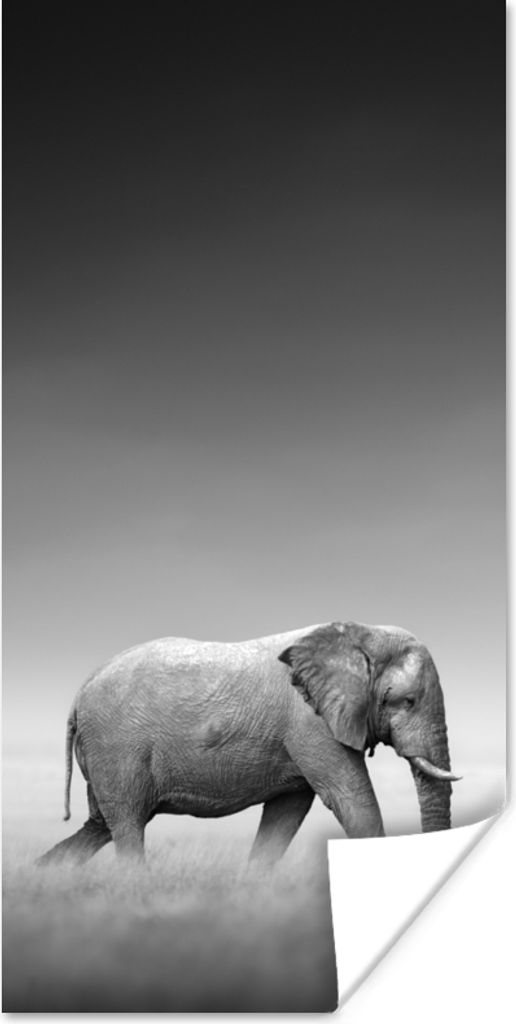 MuchoWow Poster Elefant - Tiere - Landschaft - Schwarz und weiß - Zebra 40x80 cm - Dekoration