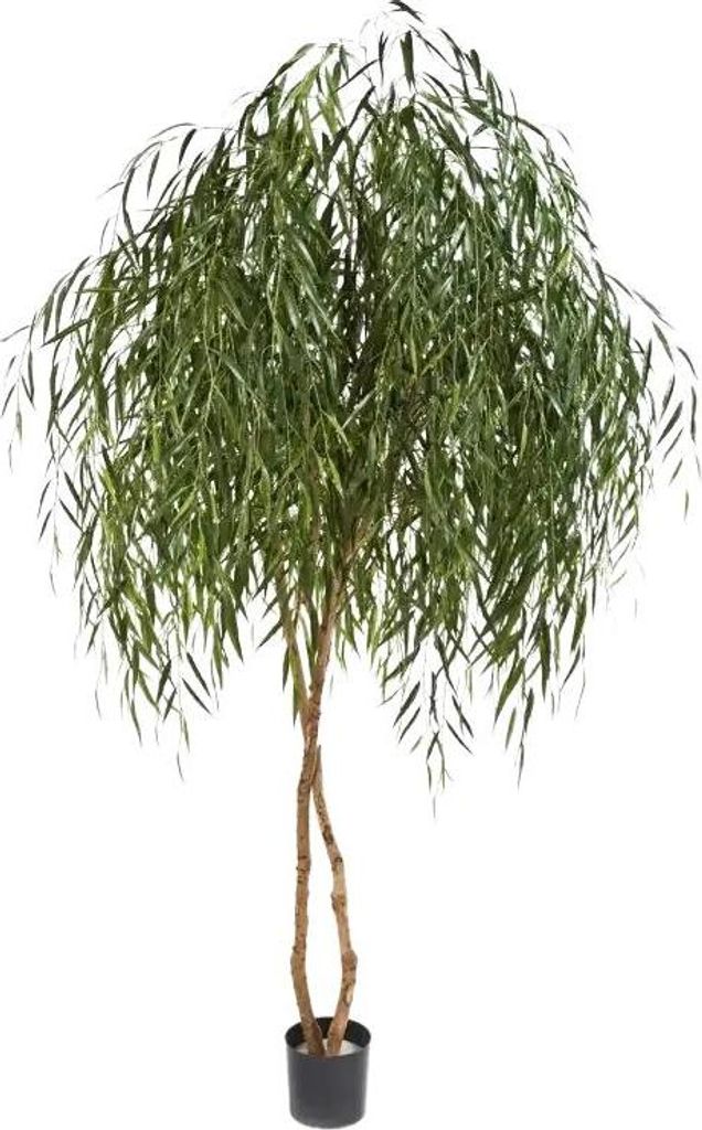 aplanta Künstliche Weide - Pepe | 240 cm, Echtholzstamm, für drinnen, Kunstbaum, wie echt, Allergiker geeignet, pflanzliche Dekoration Praxis, Of...