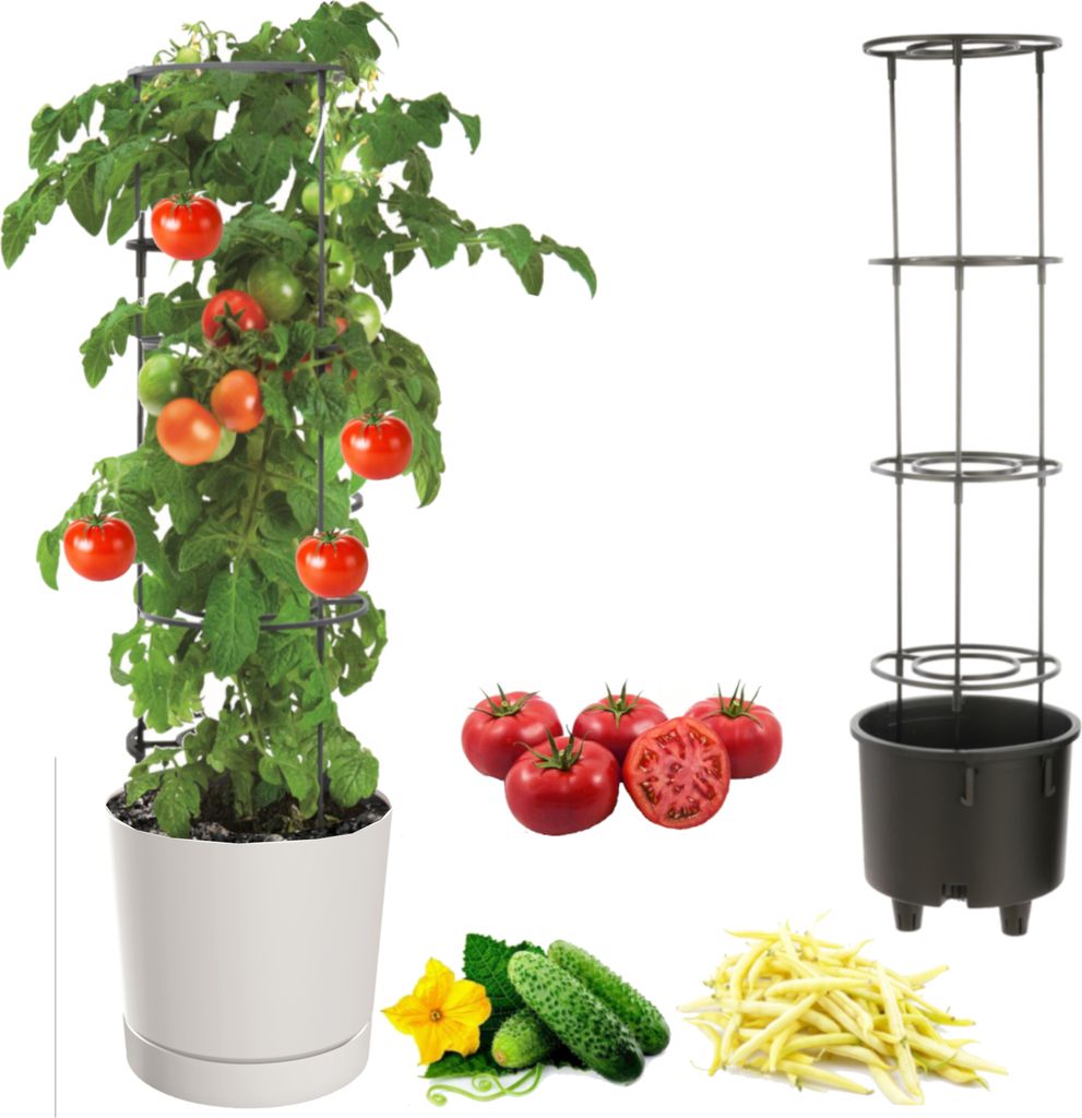 Tomatentopf, Tomatenpflanze Pflanzkübel, Topf zur Anzucht von Kletterpflanzen, Gemüsetopf, Übertopf, Gurken, Bohnen, Ø30 cm weiß,Kunststoff + ...