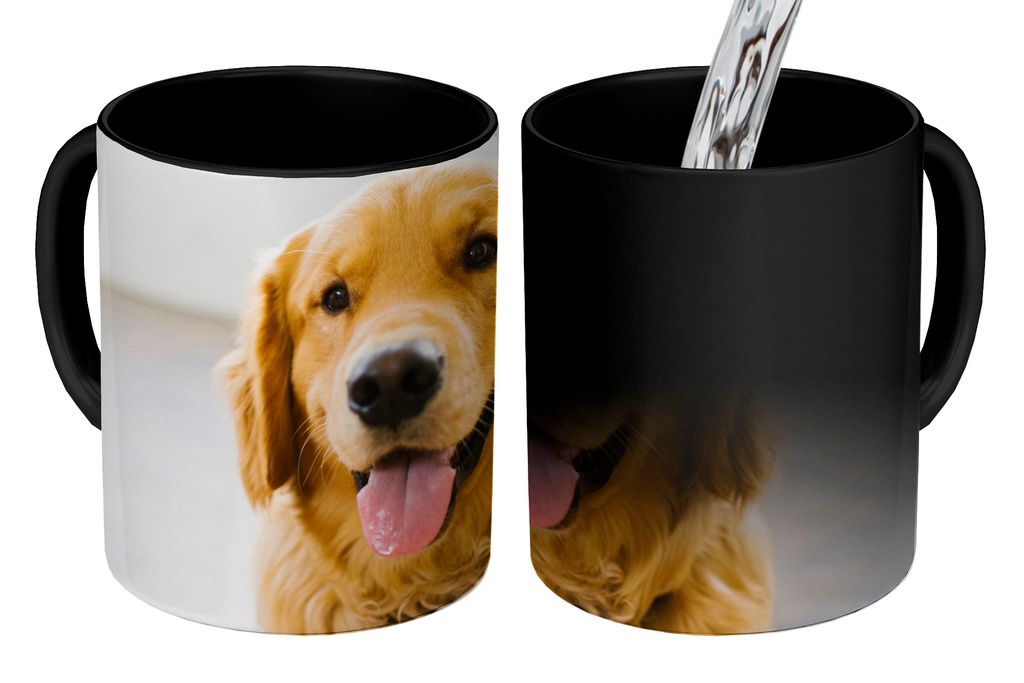 KitchenYeah Zauber Tasse Zaubertasse Magic Porträt eines superschönen Golden Retrievers 350 ml Farbwechsel Becher Geschenk Geschenkidee - Magic...