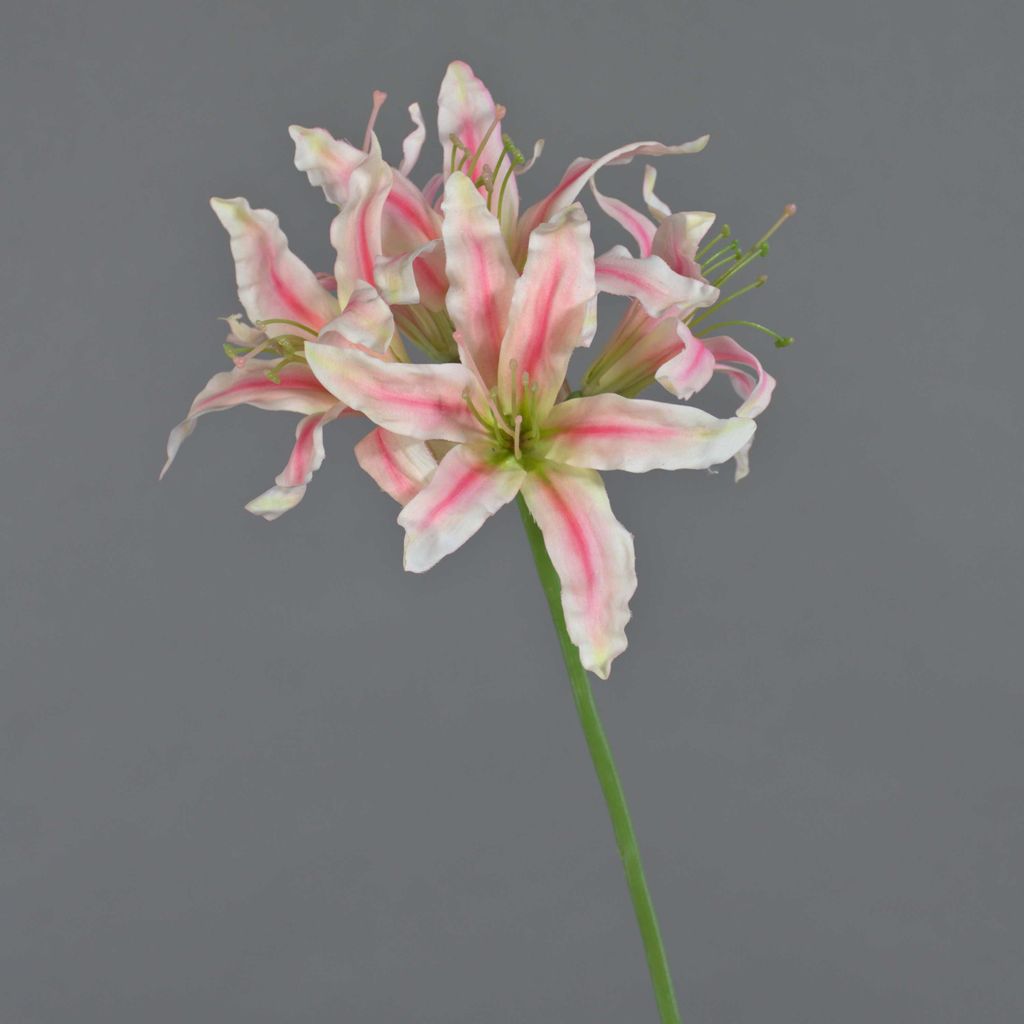 artplants.de Deko Gartenamaryllis KUSTANA, rosa-Creme, 70cm, Ø20cm - Kunstblume Amaryllis