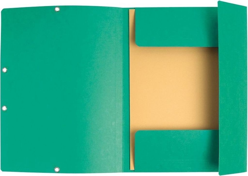 Exacompta 55303E Sammelmappe Papier Grün A4