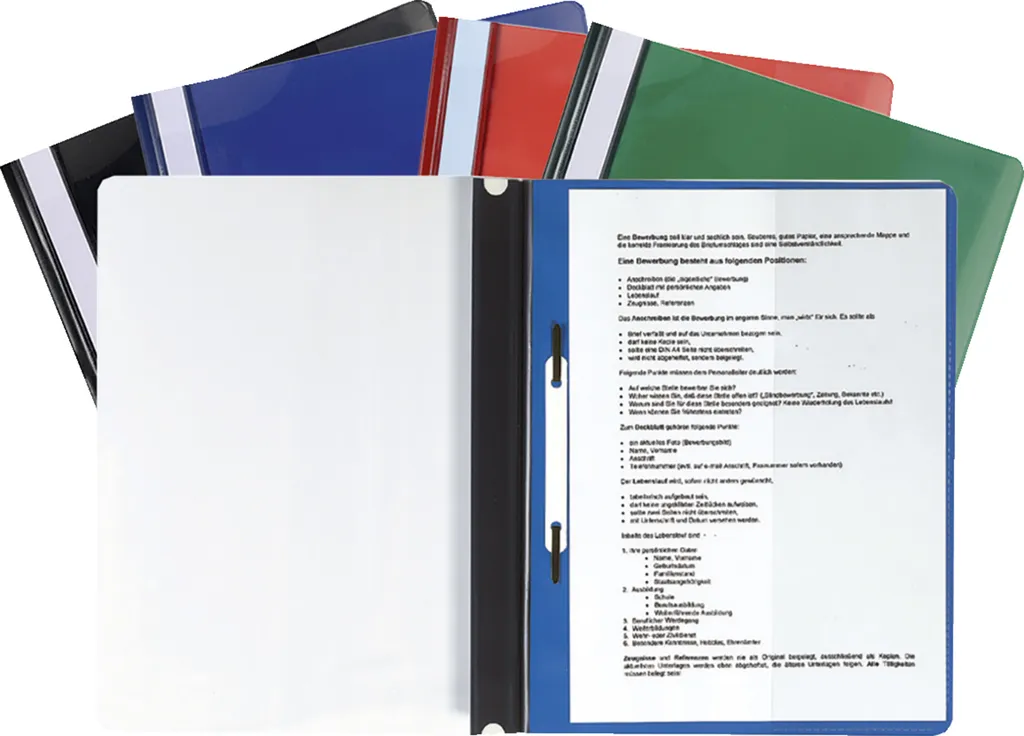Exacompta 439900B Lot de 20 Chemises à Lamelles PVC Premium A4 Assorties