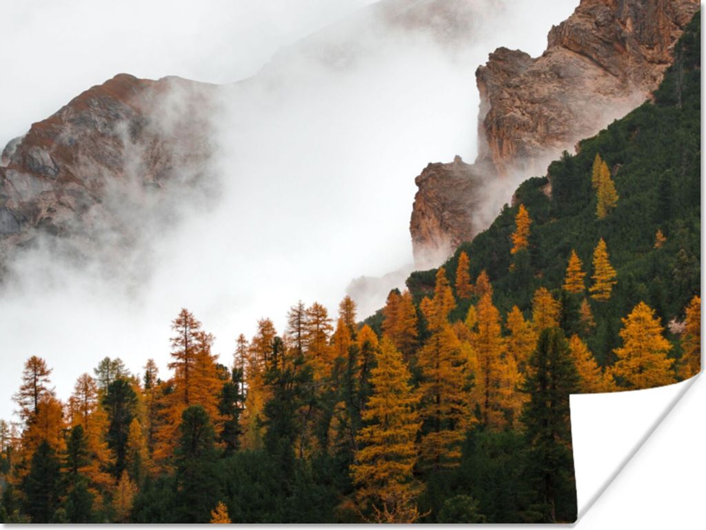 MuchoWow Poster Kiefer - Herbst - Berg - Landschaft 120x90 cm - Wandbild