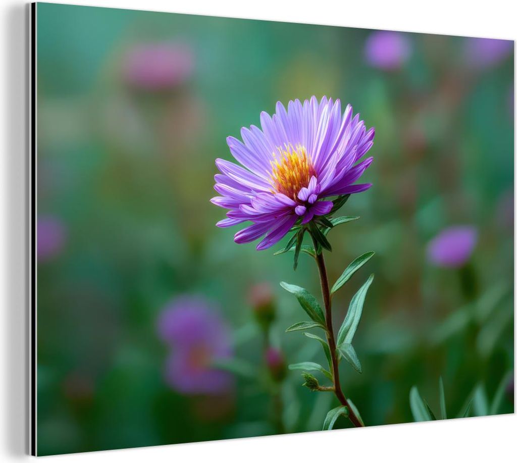 MuchoWow Wanddekoration Metall Metallbild Wandkunst 120x80 cm Aster - Lila - Blume - Blütenblätter MuchoWow Aluminium Gemälde - Alu Bild