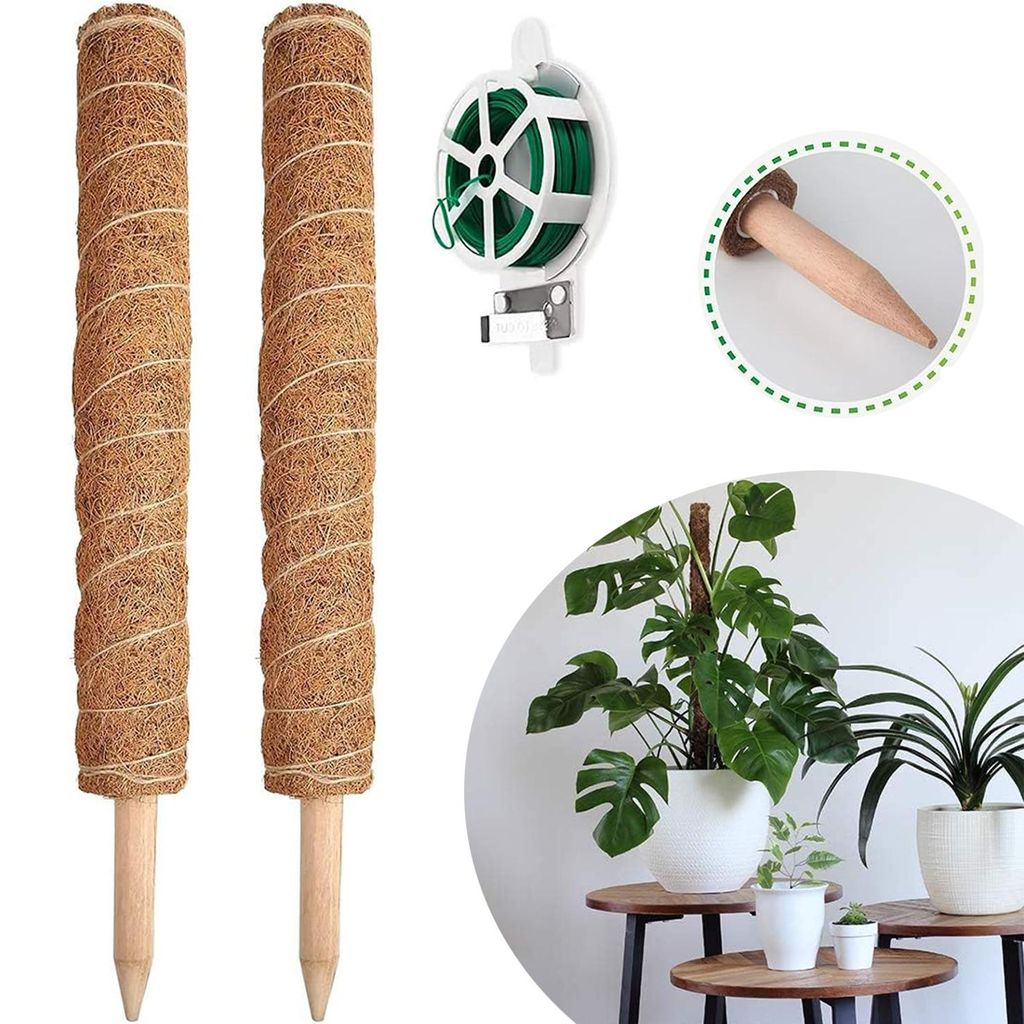 Pflanzenstütze, 2 Stück 41 CM Pflanzstab Rankhilfen für Produktbild 