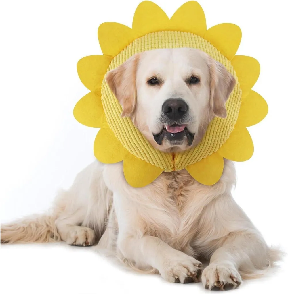 IEUUMLER Collare Gonfiabile Cane Gatto L Girasole - Protezione Post Operatoria