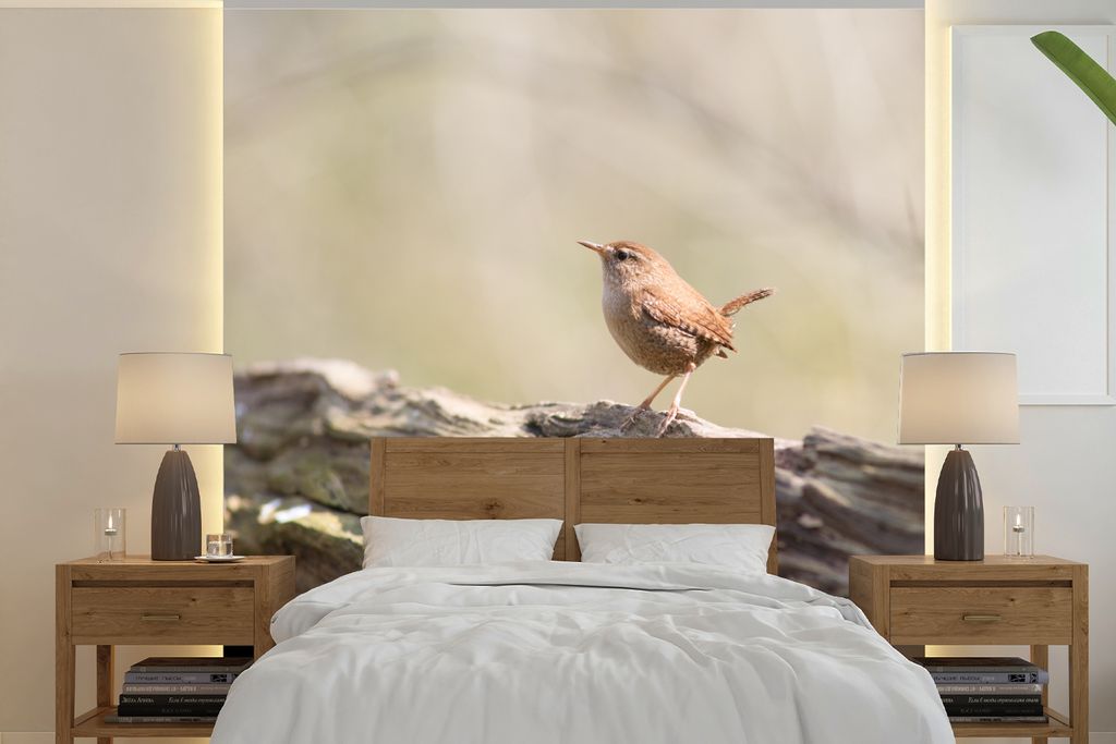 MuchoWow Fototapete für Wohnzimmer oder Schlafzimmer Wandtapete Vinyl Motivtapete Zaunkönig auf einem Baumstamm - 280x280 cm - Hintergrundbild