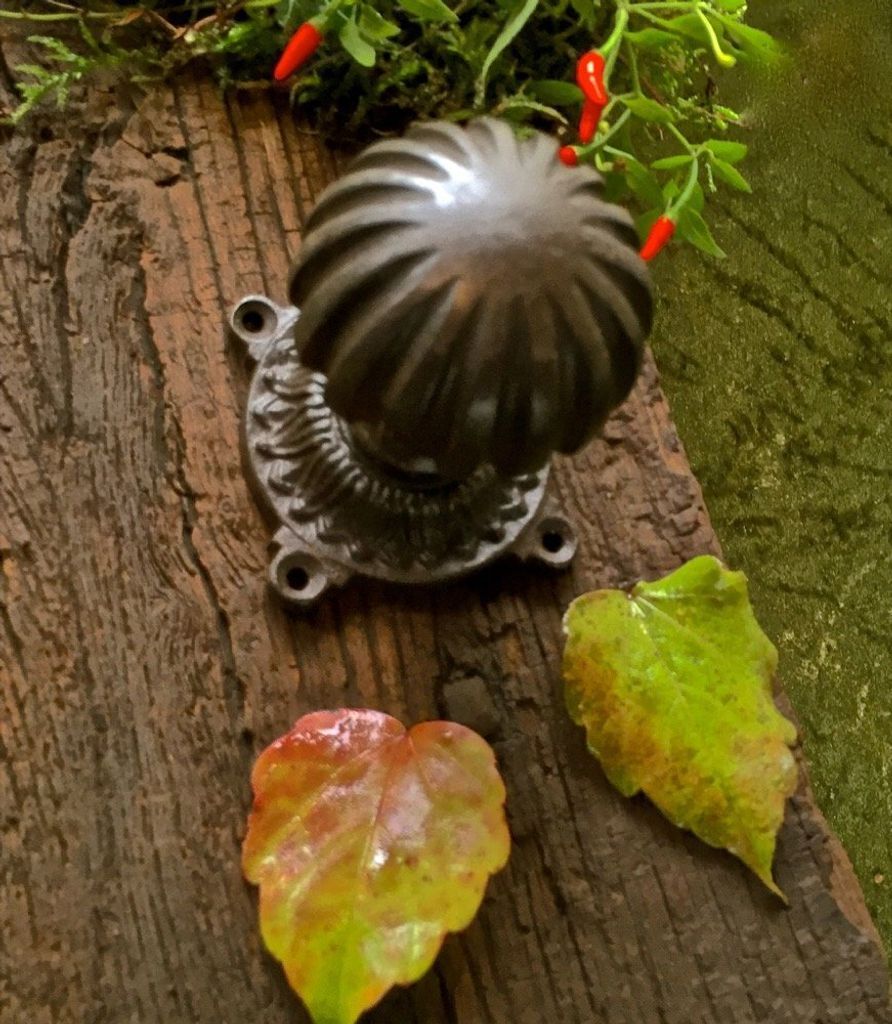 Türknauf mit Rosette, feststehend | Eisen, Braun | H5,2 x B5,2 cm