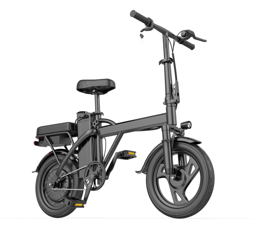 Das E-Bike X14, 48V 15,6Ah, 250W, Reichweite bis 80 km, Produktbild 