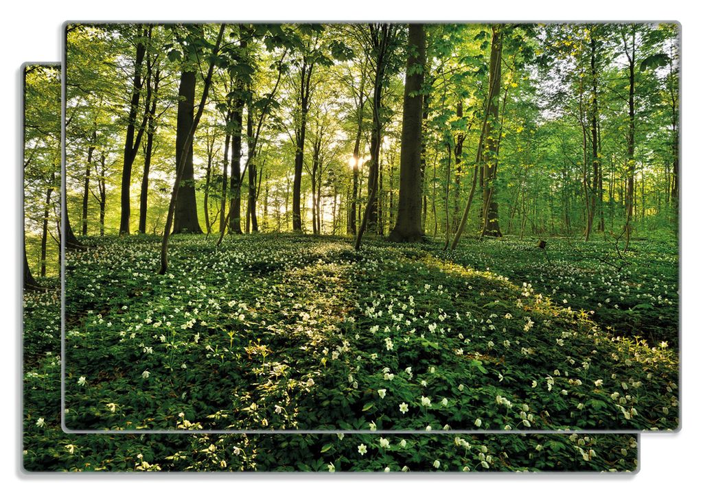 Wallario Frühstücksbrettchen 2er Set aus Glas, je 20 x 30 cm, mit rutschfesten Füßen, Motiv Waldanemonen und Sonnenstrahlen im Wald