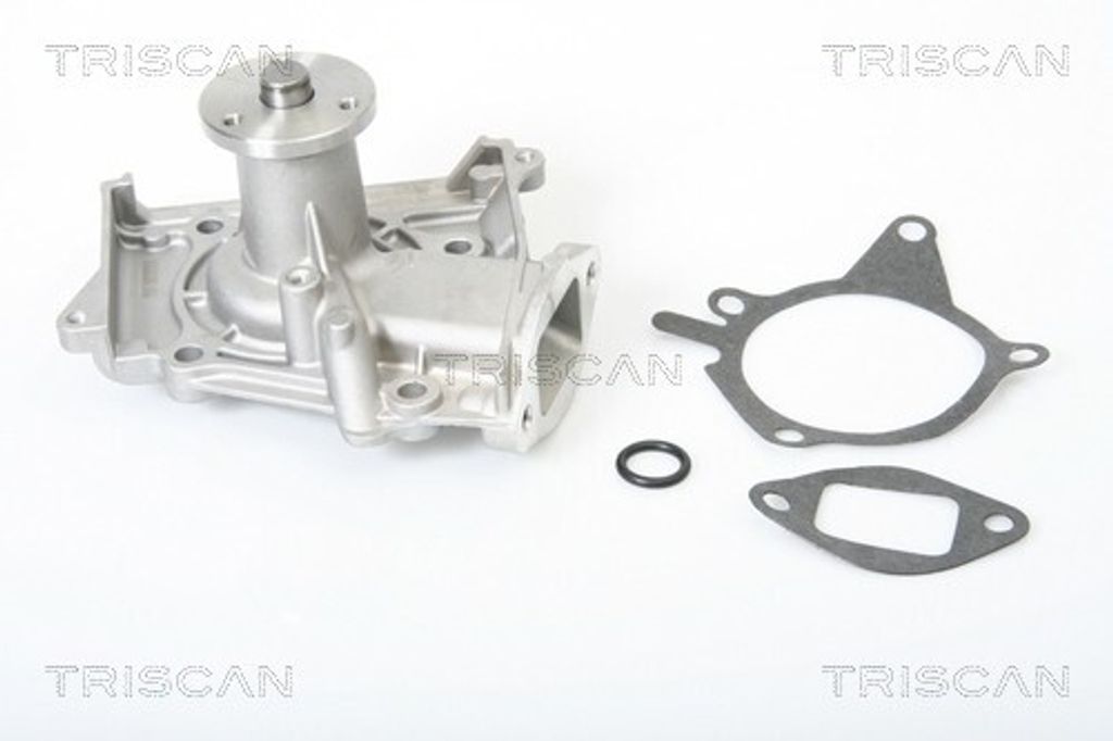 TRISCAN Wasserpumpe 8600 50871