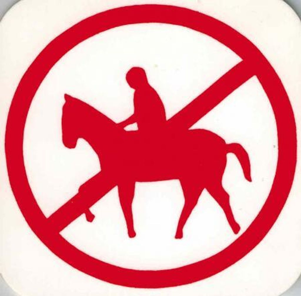 Schild - Pferd mit Reiter - Gr. 8x8cm - 308015 - Tiere Pferd