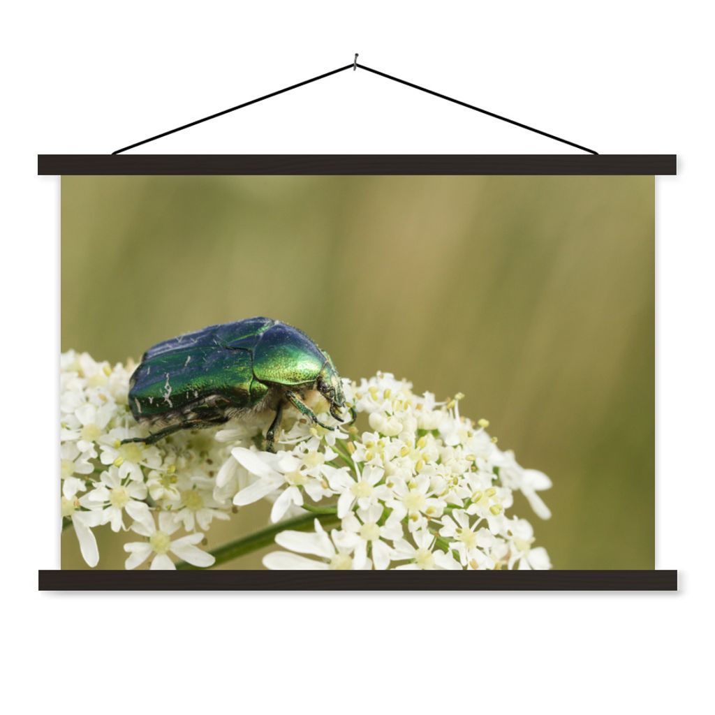 MuchoWow Textilposter Käfer - Blume - Grün 60x40 cm mit schwarzem Rahmen - Hölzernes