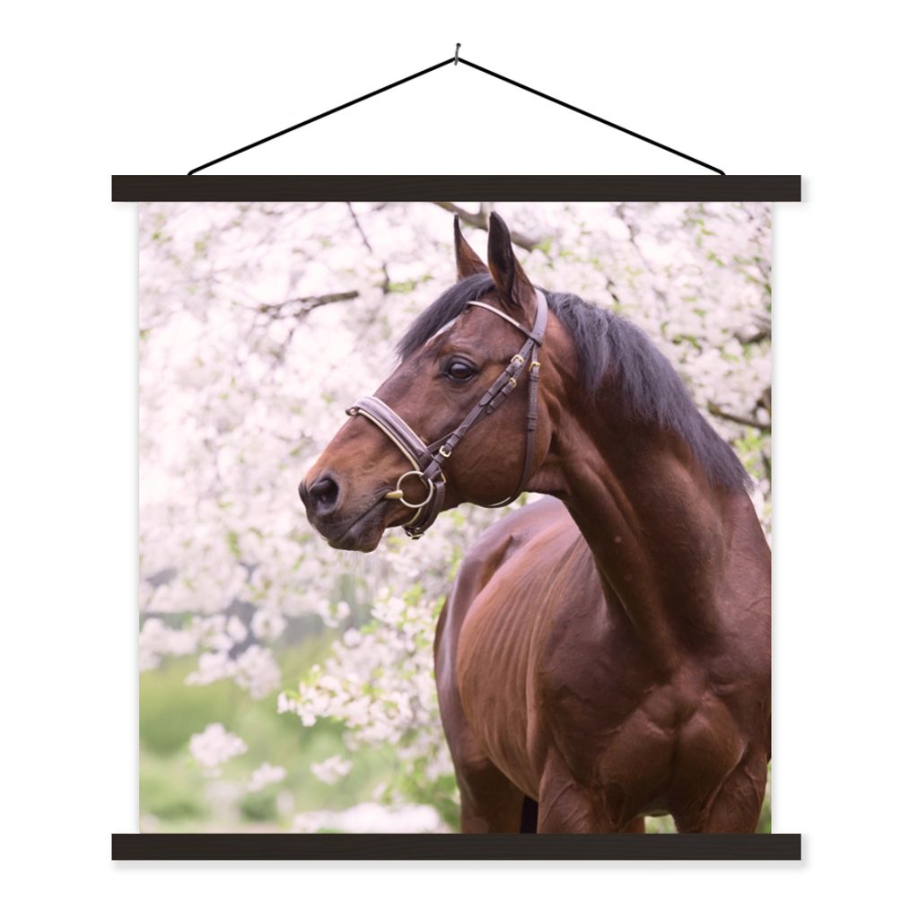 MuchoWow Textilposter Pferd - Sakura - Halfter 40x40 cm mit schwarzem Rahmen - Fotos