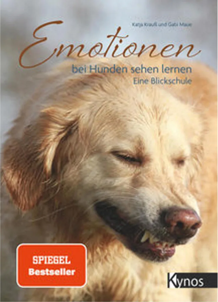 Apprendre les émotions chez les chiens : Méthode d'Analyse Visuelle