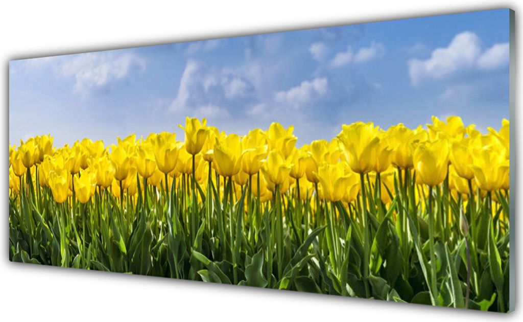 Acrylglasbilder 125x50 Wandbild Druck Tulpen Pflanzen
