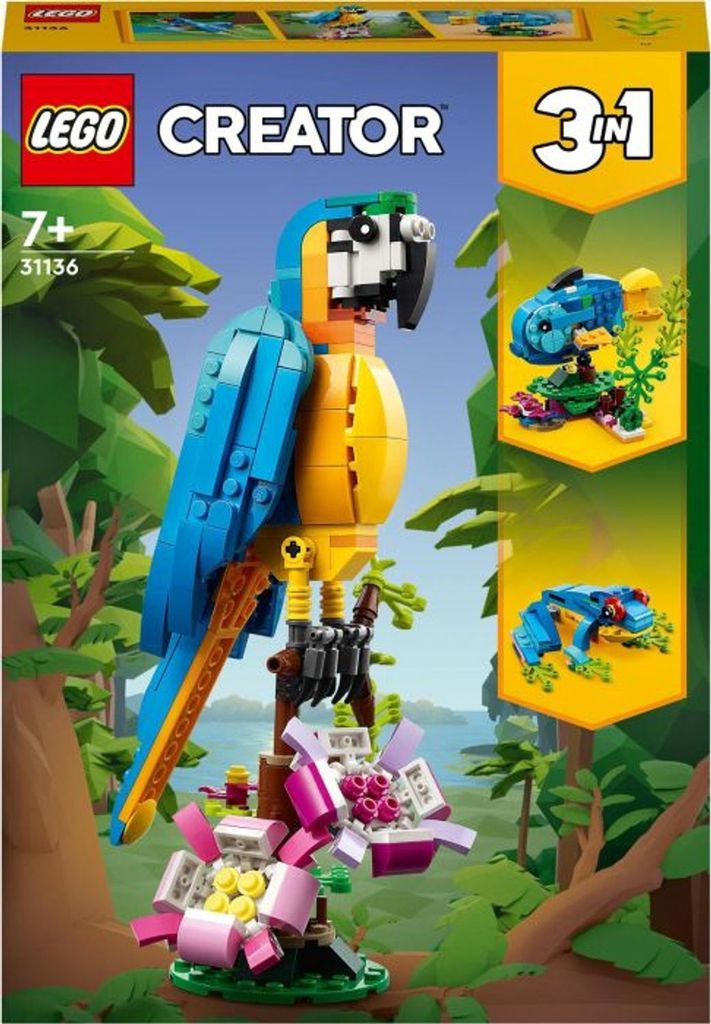 Exotický papoušek Obrázek produktu 