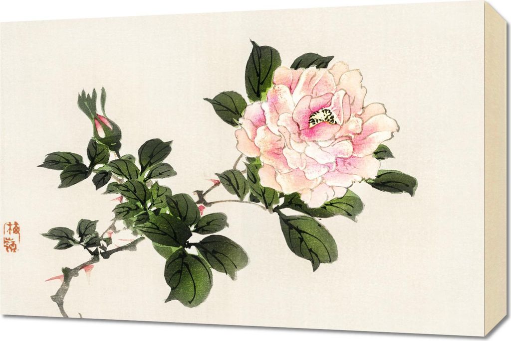 Bild 60x40cm Pink Rose 2, Kōno Bairei Japanisches Vintage für das Wohnzimmer