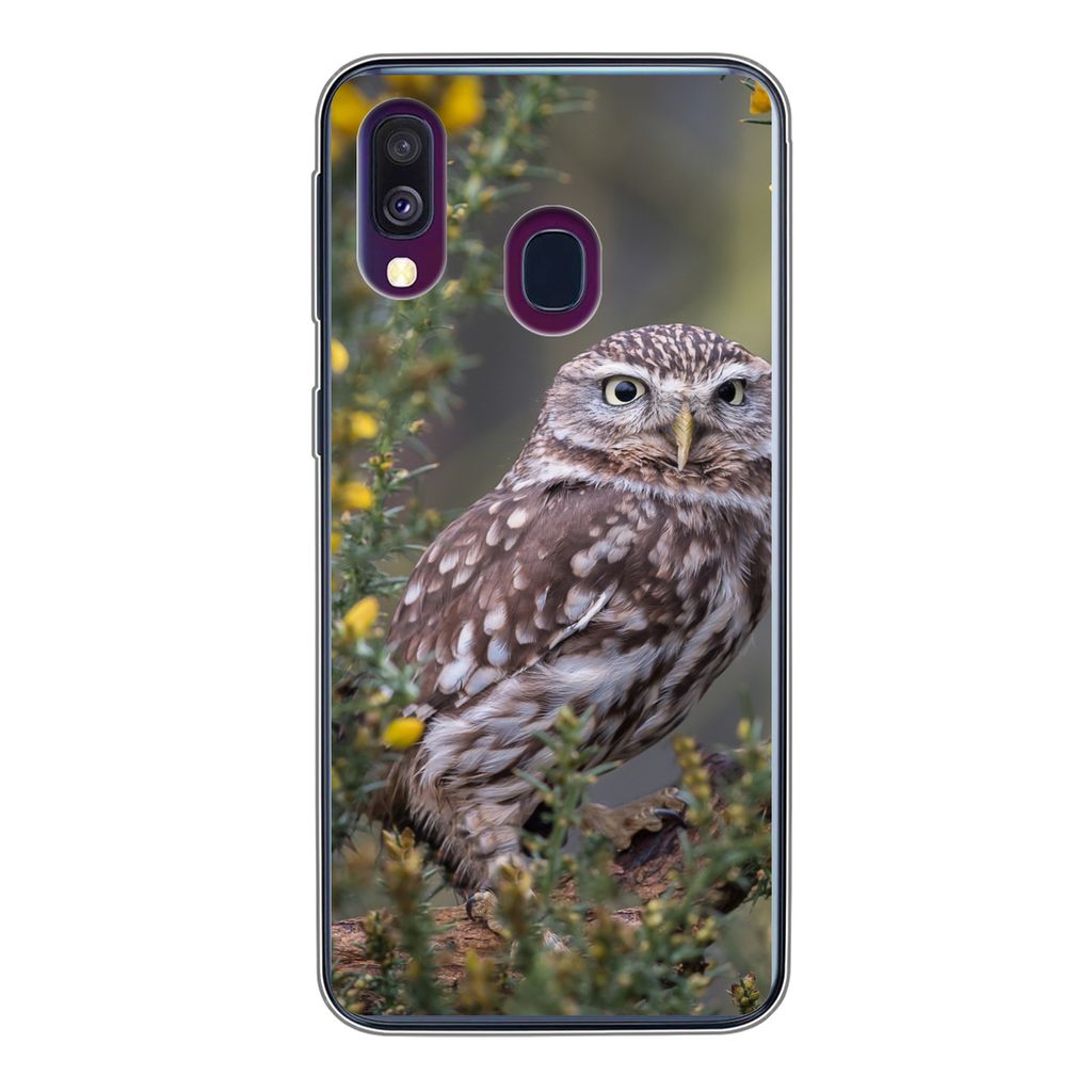 MuchoWow Handyhülle Schutzhülle Hülle für Samsung Galaxy A40 Eine kleine braune Eule sitzt da und starrt nach vorne Silikon Softcase Handy H...