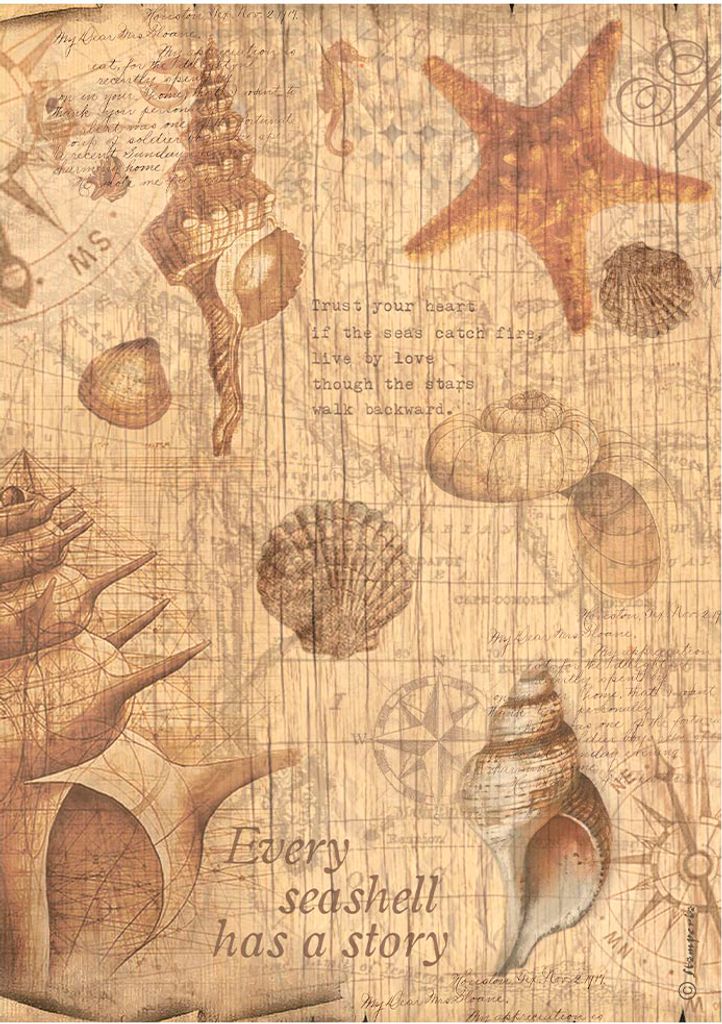 Stamperia Motiv Strohseide Sea Land Muscheln A4 28g qm Bastelpapier Dekoration