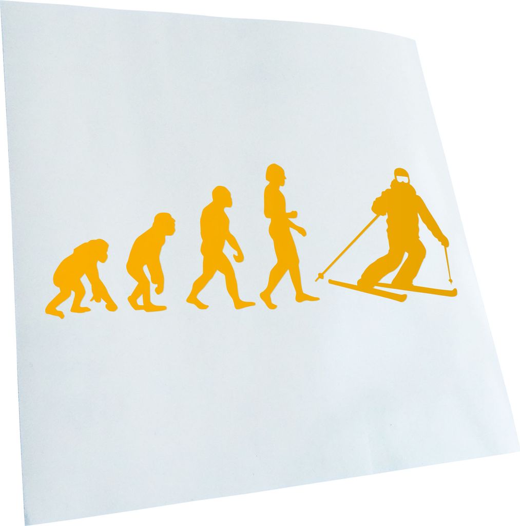 Kiwistar - Autoaufkleber - Evolution Skifahren Skilaufen Heckscheibenaufkleber - Aufkleber für Auto Kfz Fahrrad, LKW, Truck Mofa