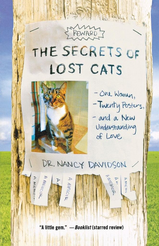 Secrets Of Lost Cats