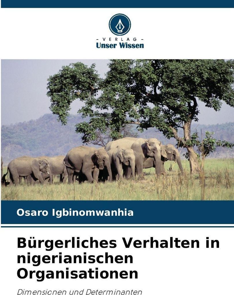 Bürgerliches Verhalten in nigerianischen Organisationen