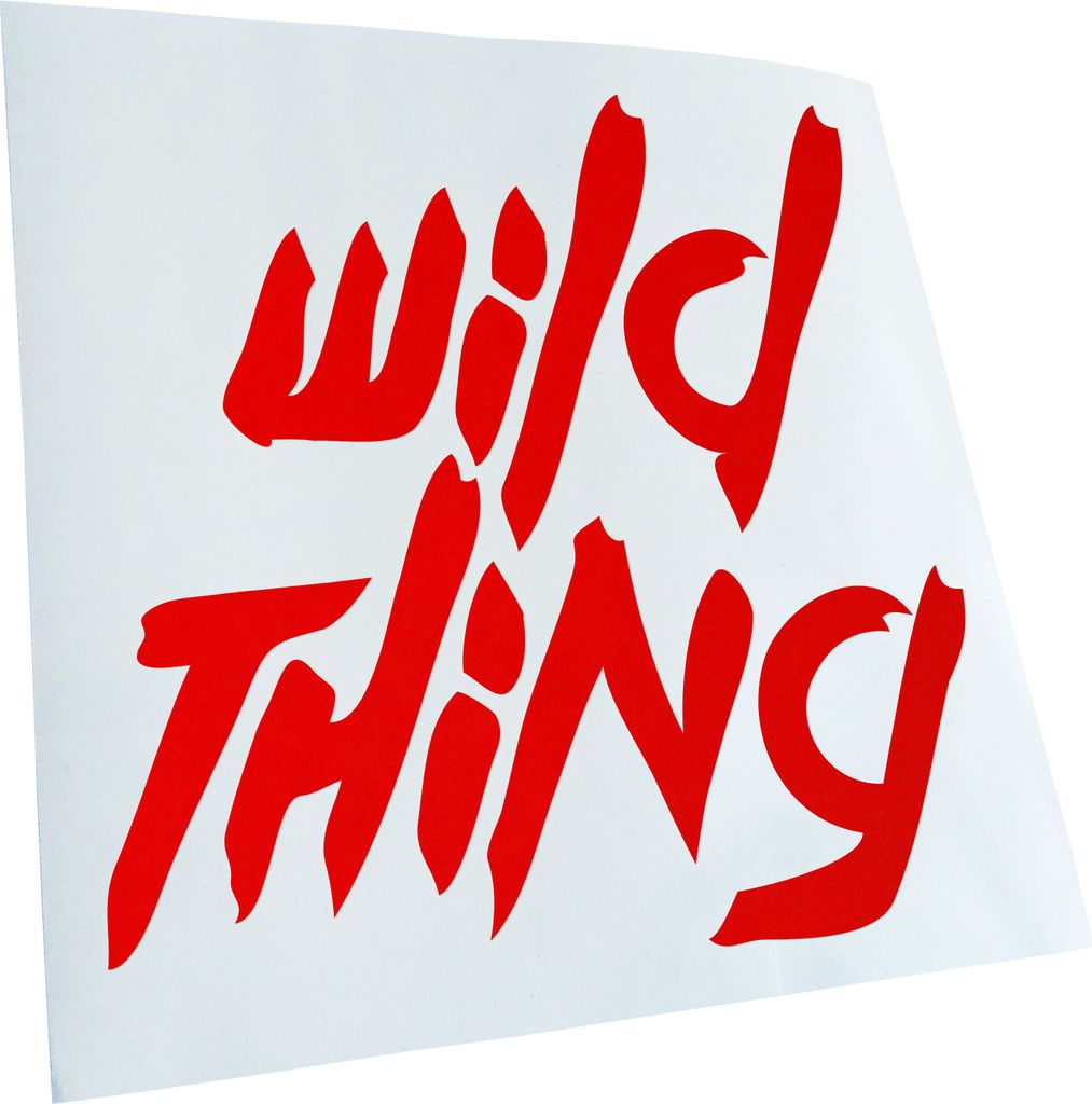 hauptsachebeklebt Kiwistar - Autoaufkleber - Wild Thing - Girl - Tussi Heckscheibe - Aufkleber für Auto Kfz Fahrrad, LKW, Truck Mofa