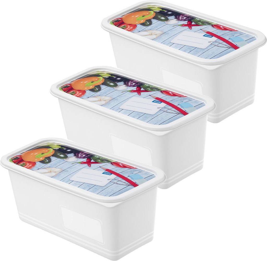 Rotho 3er Set Gefrierdosen mit Deckel Domino - Frischhaltedosen 1,5 L - Vorratsdosen 23,5 x 12,0 x 7,6 cm - Gefrierbehälter Aufbewahrungsboxen