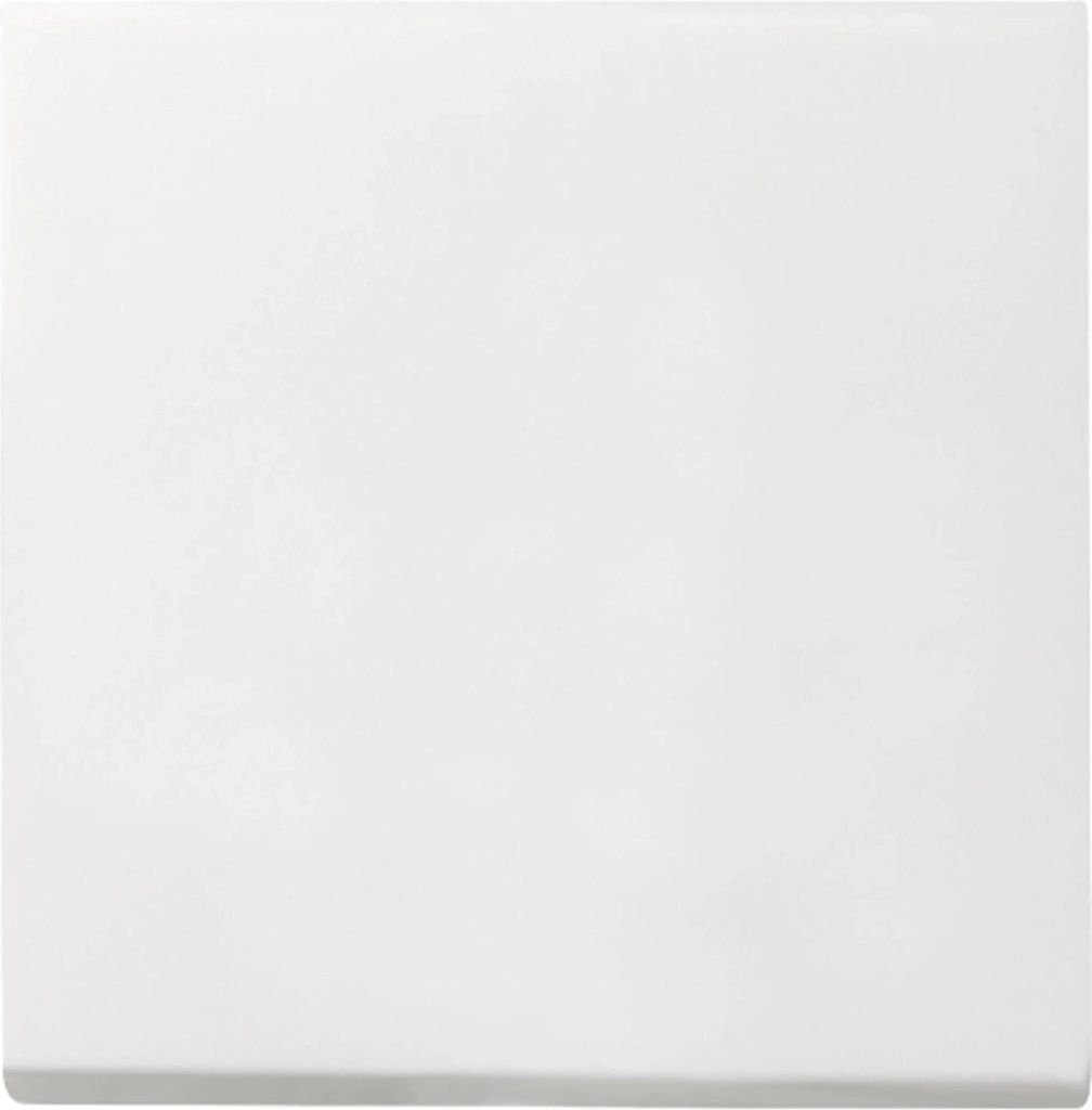 GIRA 029627, Biela, IP44 Obrázok produktu 