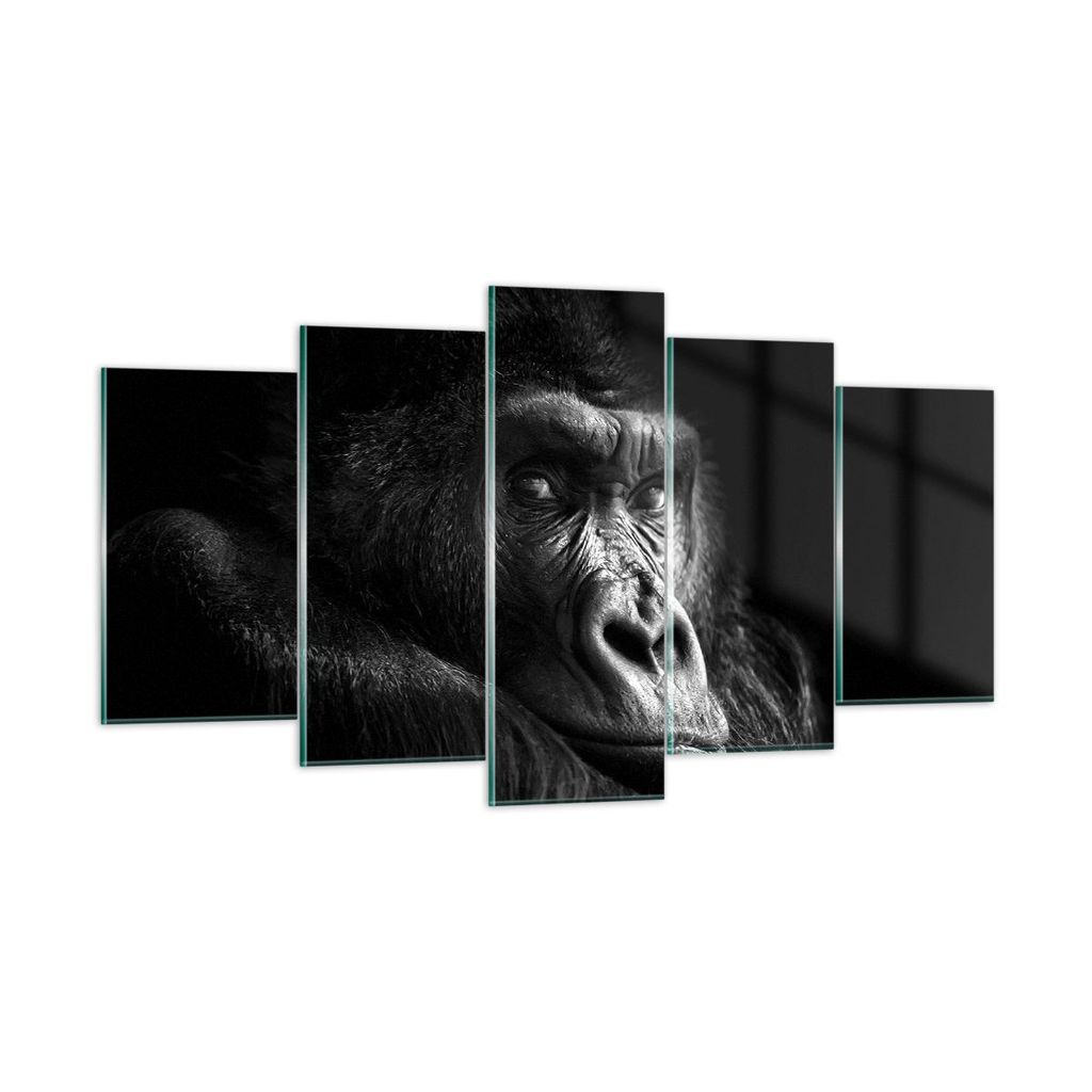 Bilder auf glas - 5 Teile - Affe Gorilla Porträt - 160x85cm Produktbild 