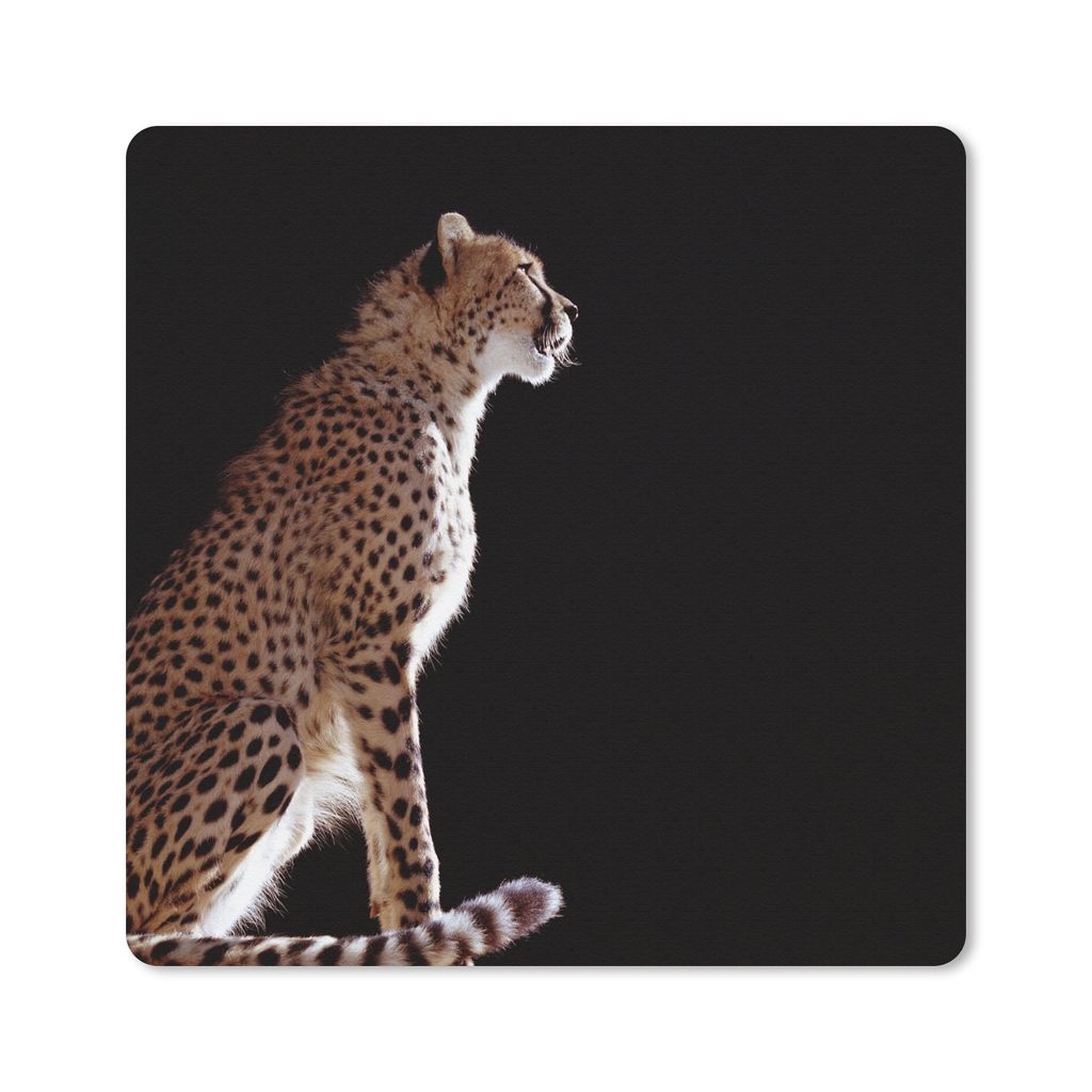 MuchoWow Mauspad Mousepad Gepard - Tiere - Licht 20x20 cm - Mousepads - Maus Mat - Pad - Mausunterlage - Desk Mat - Bureauartikeln
