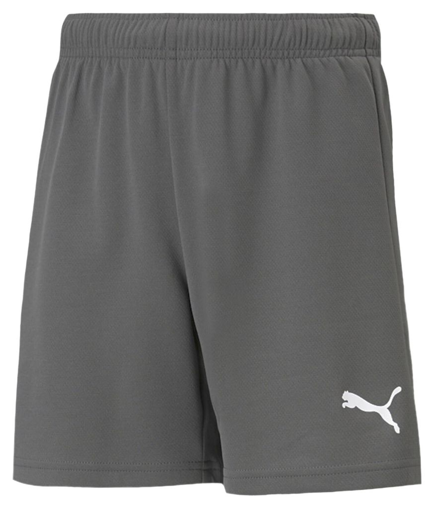 Puma - "TeamRISE" Shorts für Kinder MR690 (146-152) (Grau)