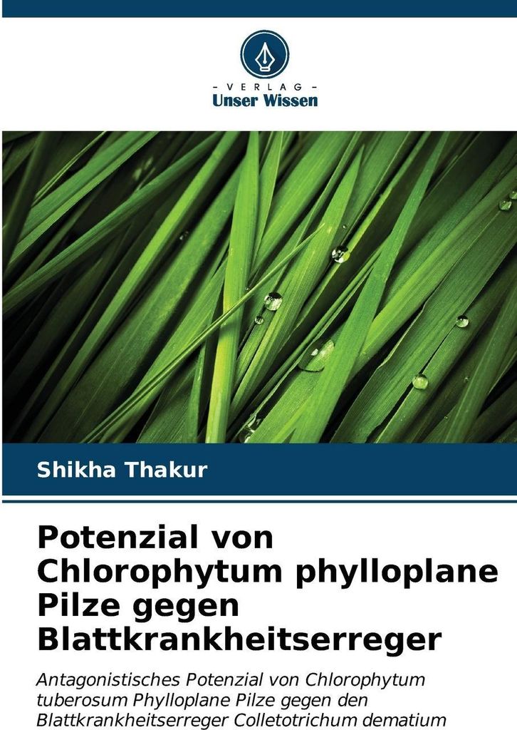 Potenzial von Chlorophytum phylloplane Pilze gegen Blattkrankheitserreger
