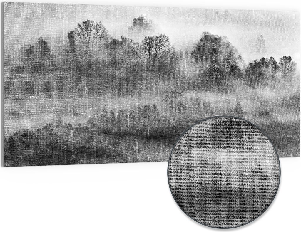 DEQORI Hybrid Leinwand Bild 100x50 cm 'Nebelgeflüster' Wandbild Glas flach modern