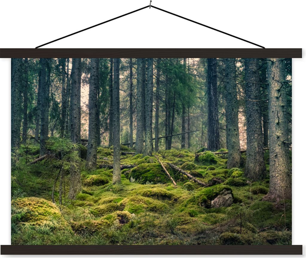 MuchoWow Textilposter Wald - Baum - Moos 60x40 cm mit schwarzem Rahmen - Hölzernes